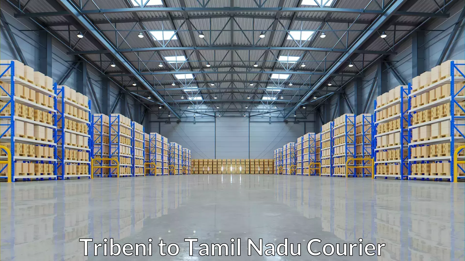 Custom courier solutions Tribeni to Kumbakonam