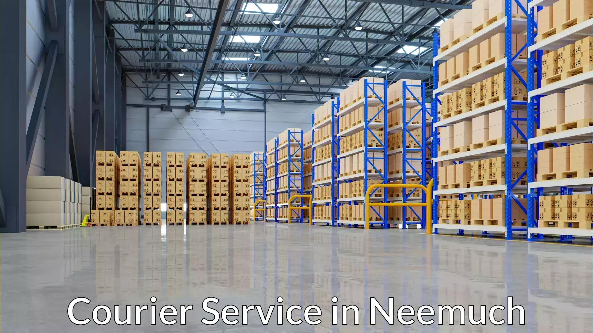 Custom courier solutions in Neemuch