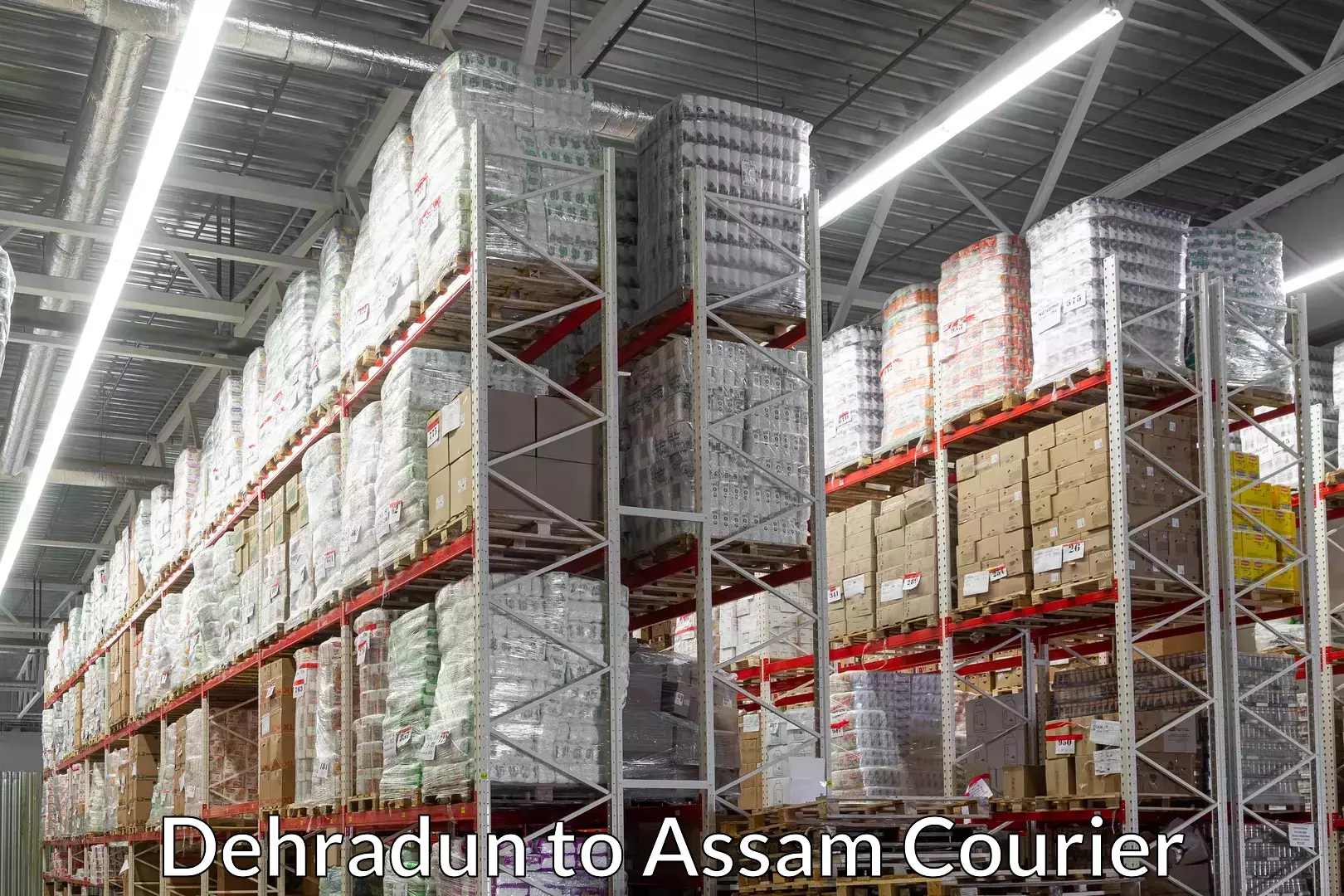 High-capacity courier solutions Dehradun to Chariduar