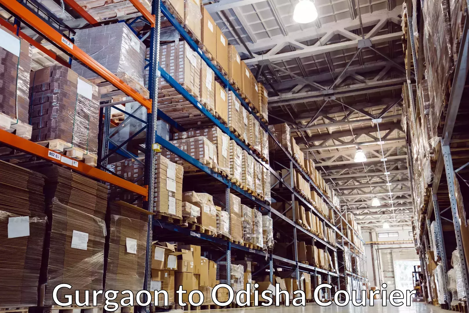 Cost-effective courier options Gurgaon to Odisha