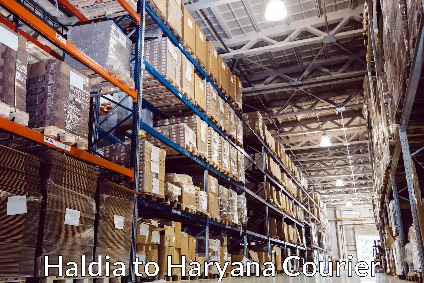 Customizable shipping options Haldia to Haryana