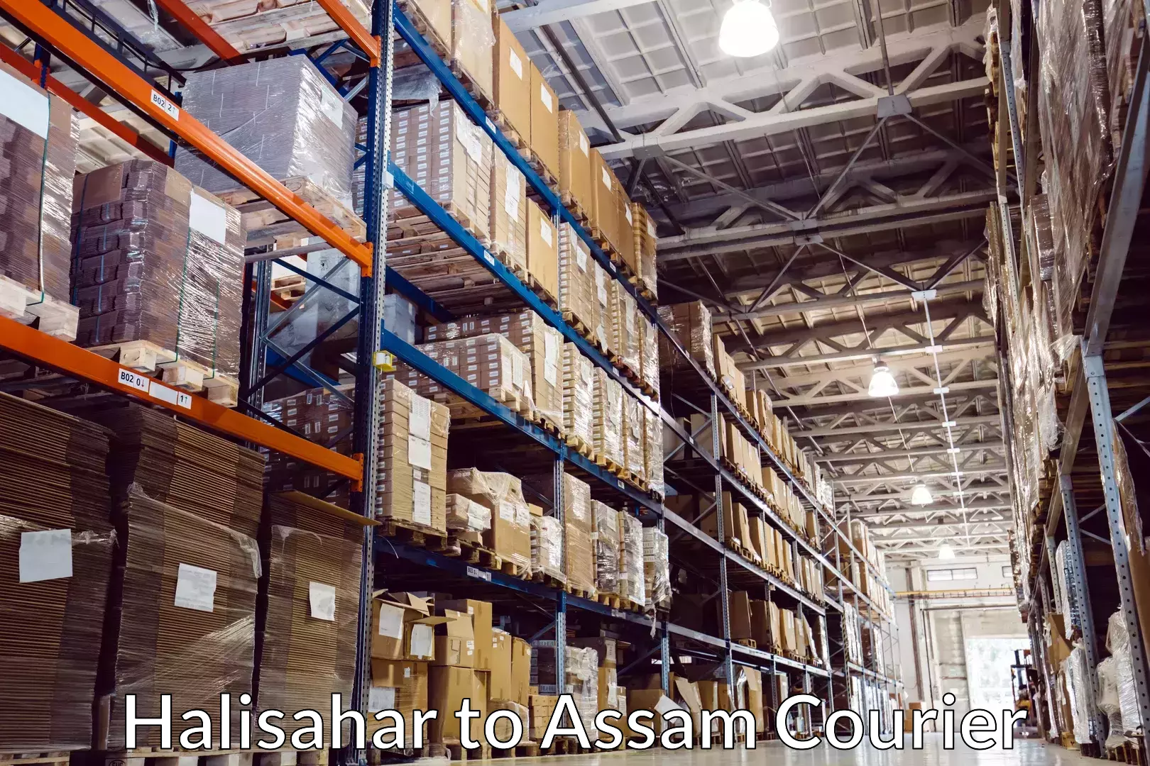 E-commerce shipping partnerships in Halisahar to Balapara