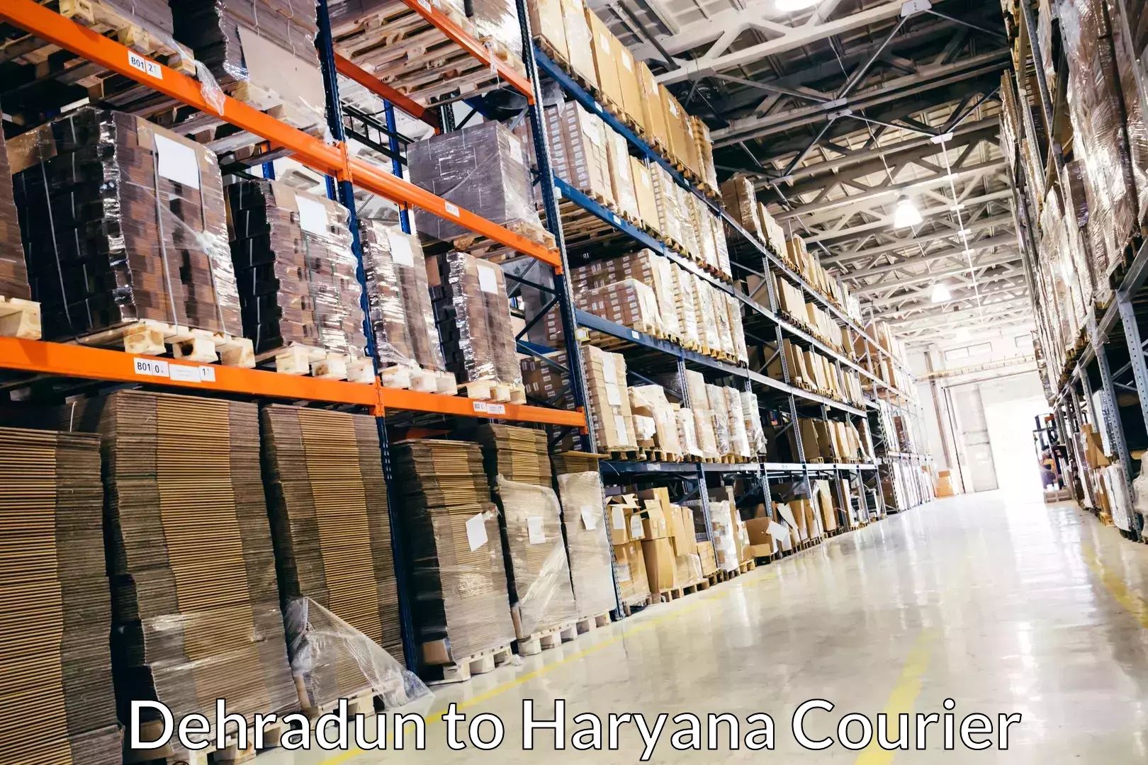 Optimized shipping services in Dehradun to Haryana