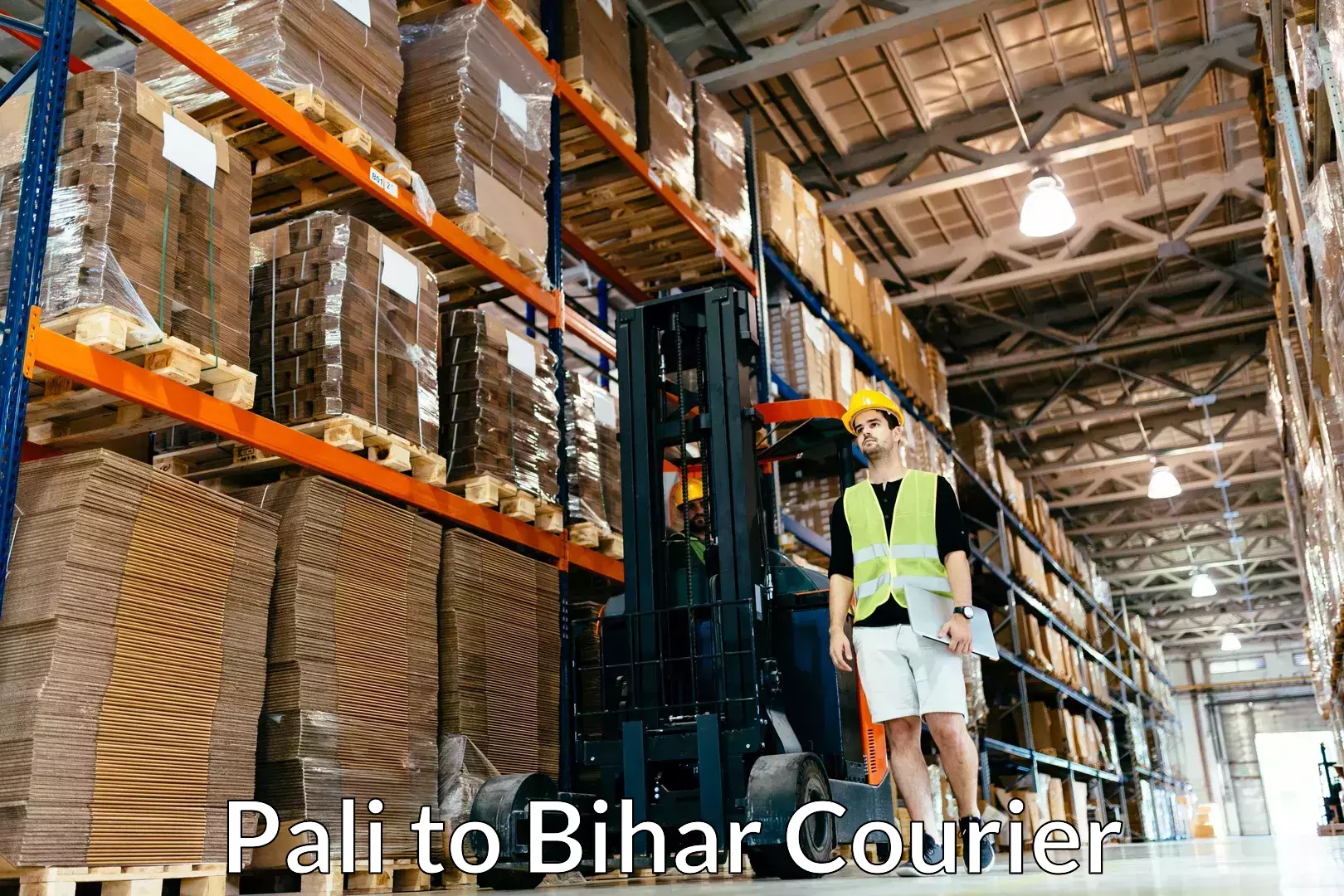 Global logistics network Pali to Bakhtiarpur