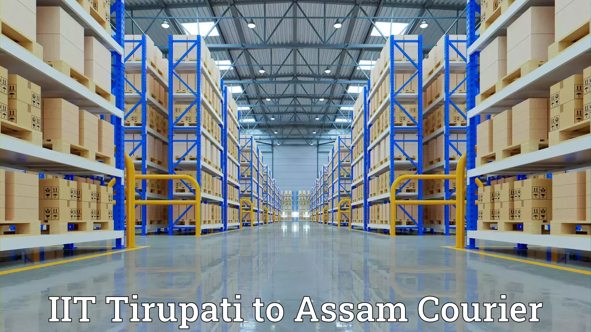 Household goods shipping in IIT Tirupati to Moranhat