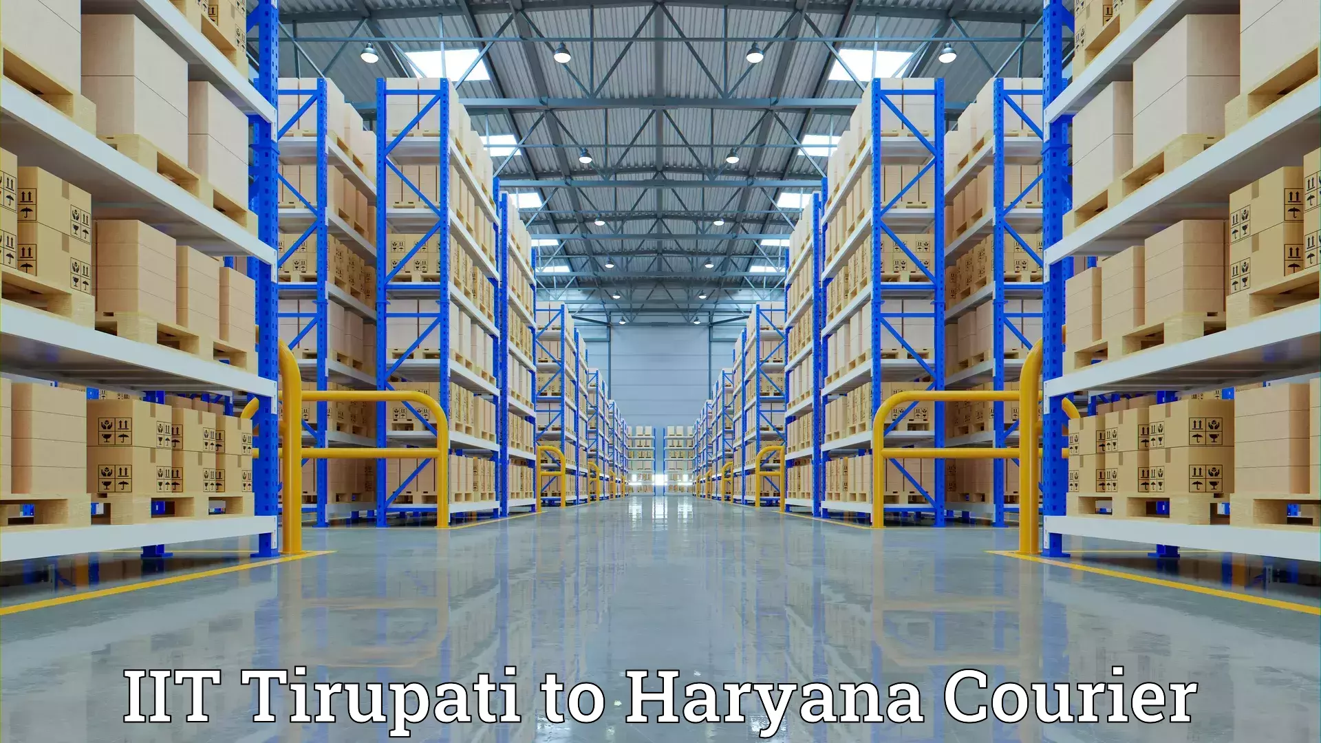 Furniture logistics IIT Tirupati to Bahadurgarh