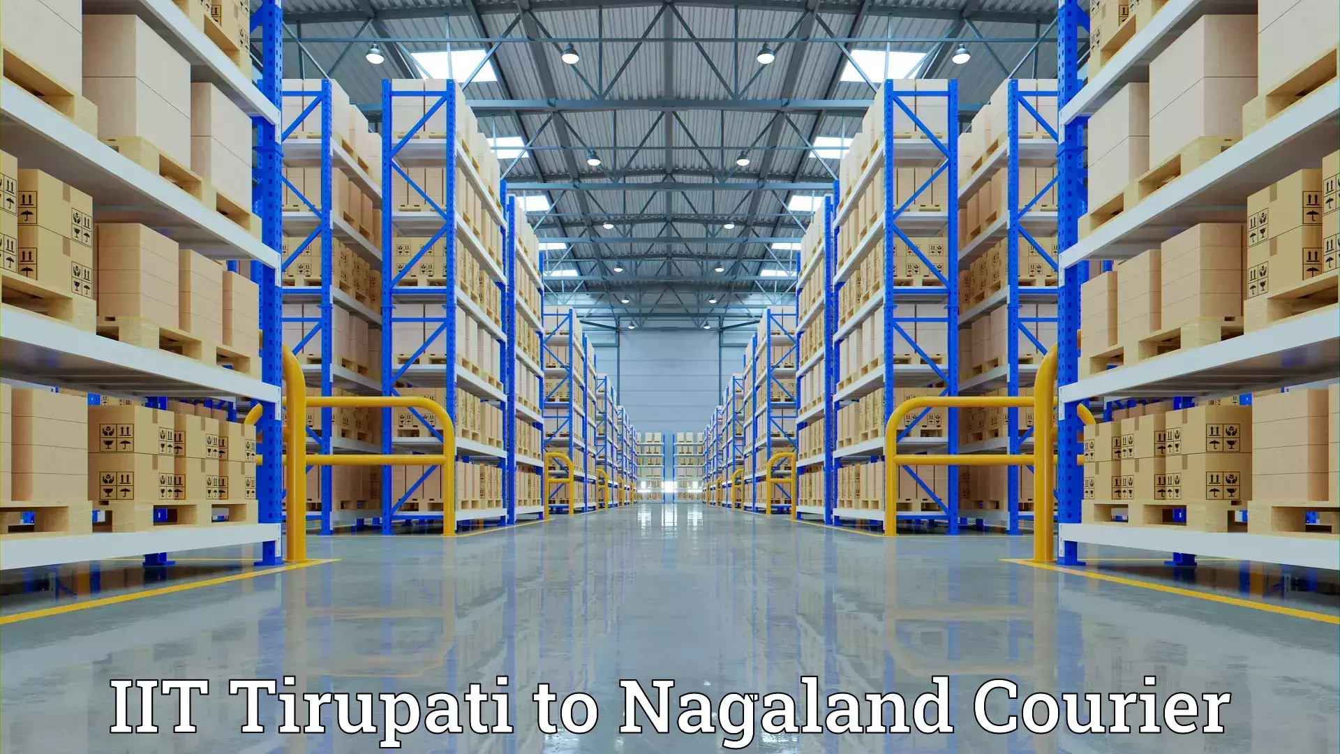 Custom moving and storage IIT Tirupati to Nagaland