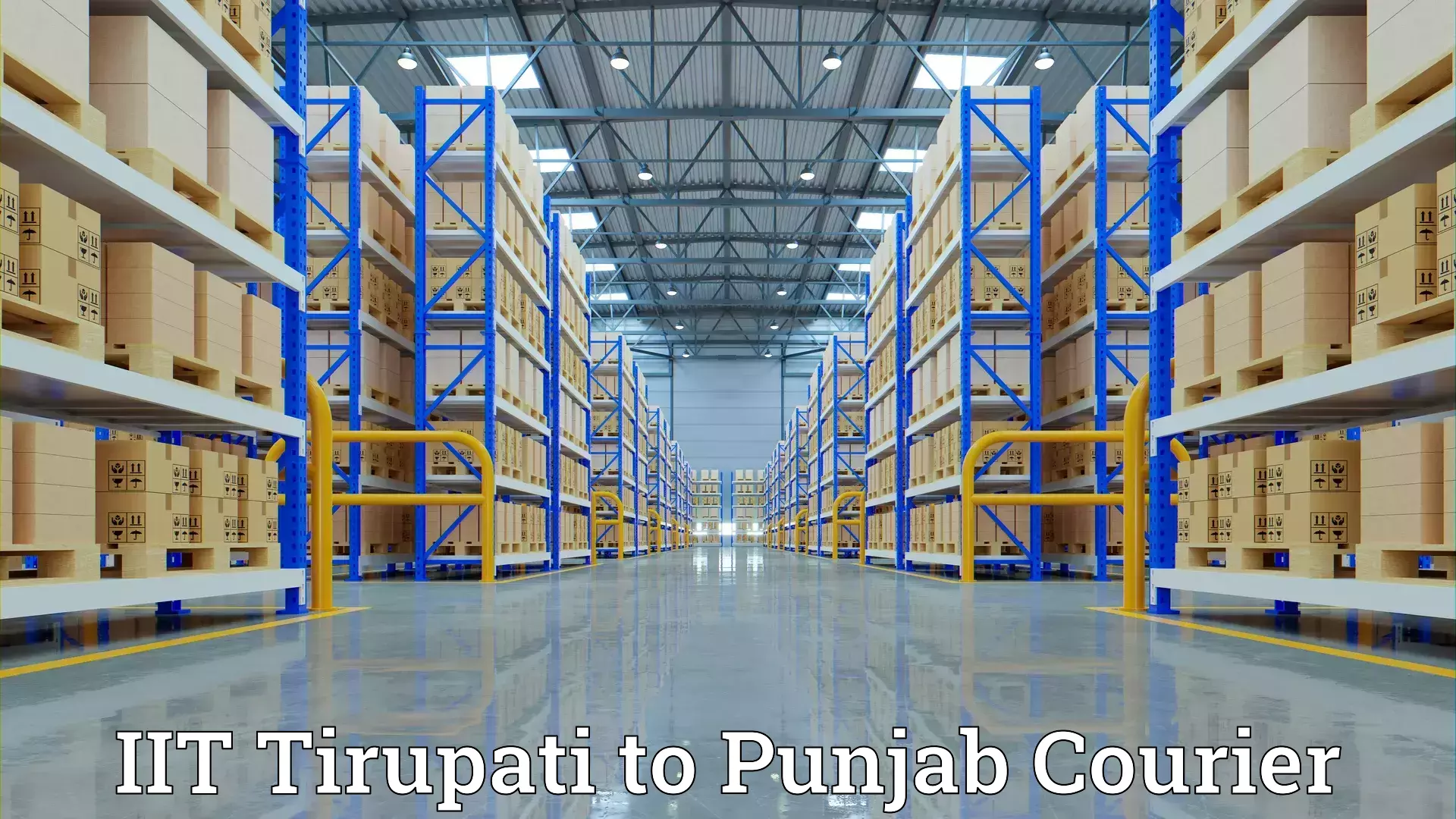 Quality moving and storage IIT Tirupati to Punjab Agricultural University Ludhiana