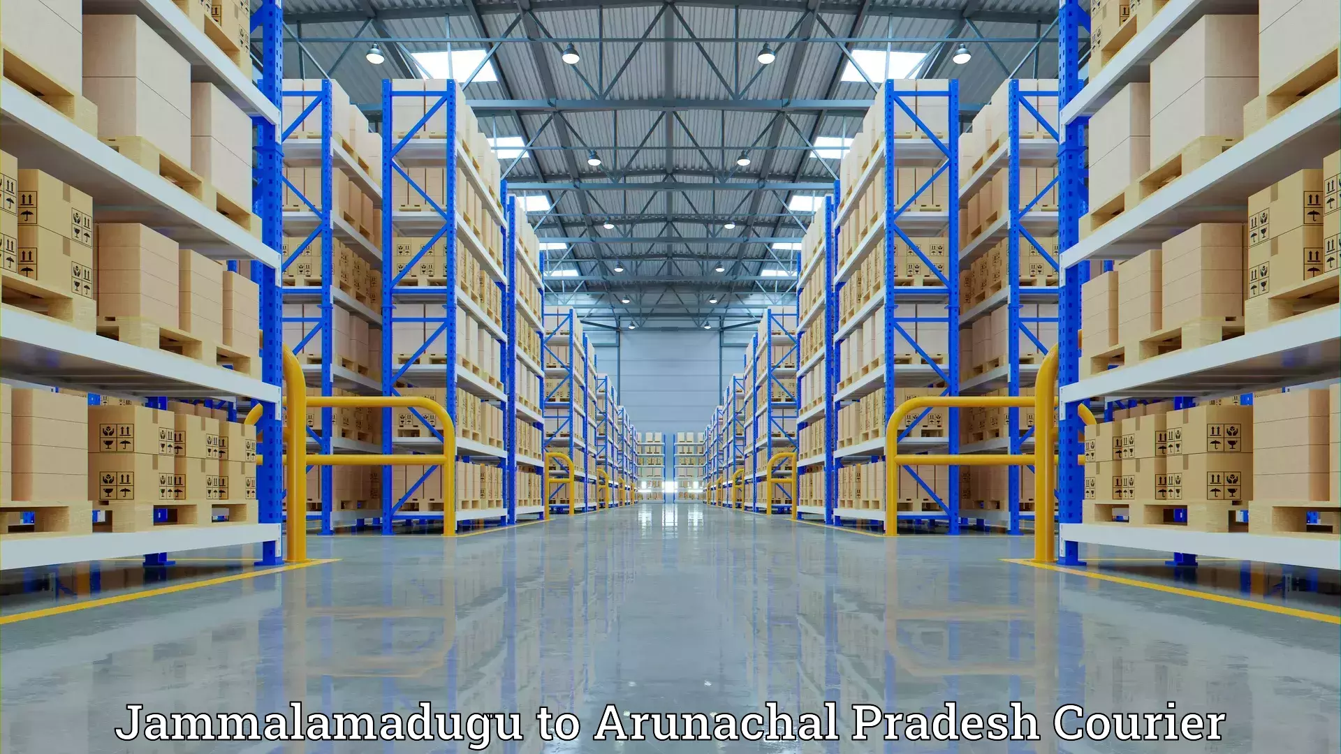 Professional furniture movers Jammalamadugu to Itanagar