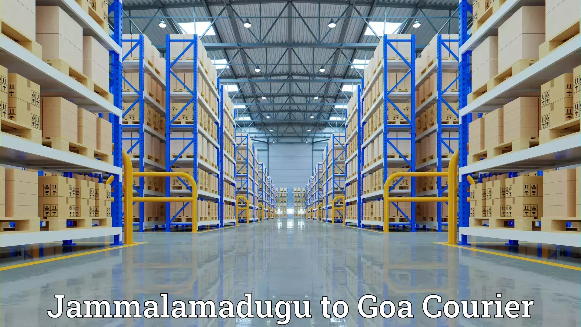 Reliable furniture transport Jammalamadugu to Vasco da Gama