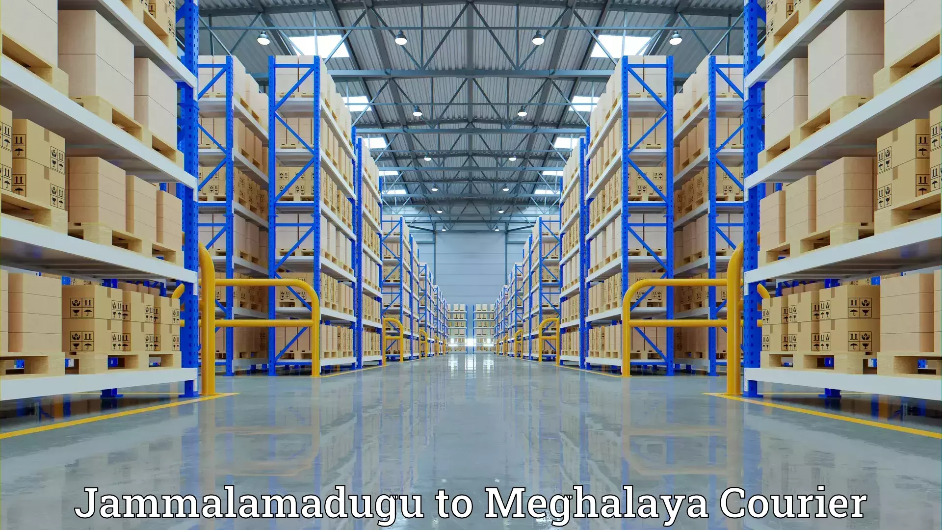 Professional furniture moving Jammalamadugu to NIT Meghalaya