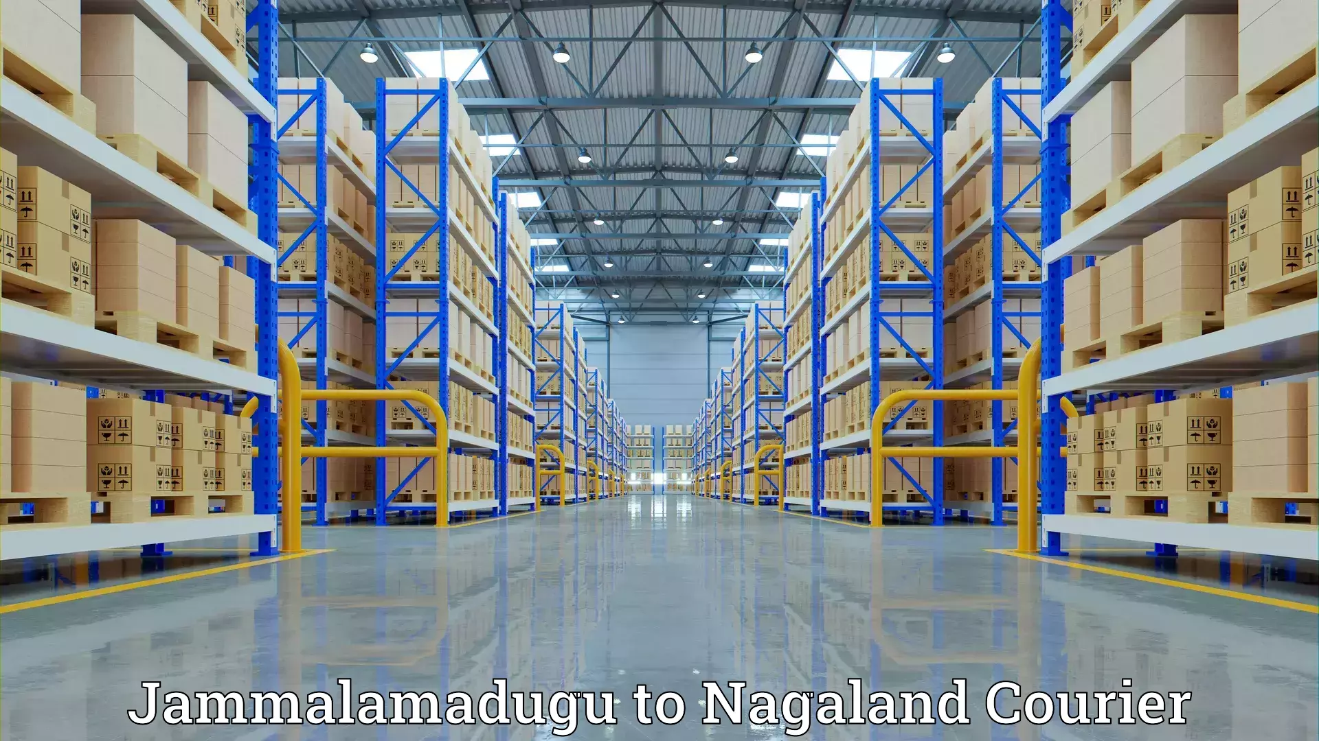 Full-service movers Jammalamadugu to Nagaland