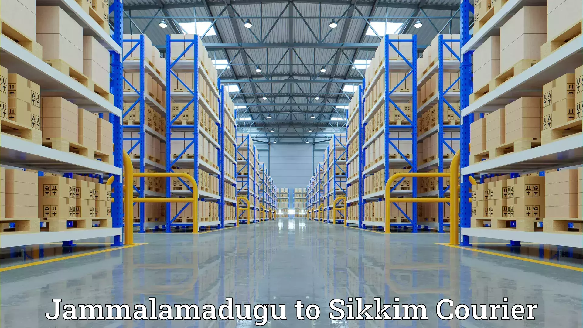 Furniture moving and handling in Jammalamadugu to Sikkim