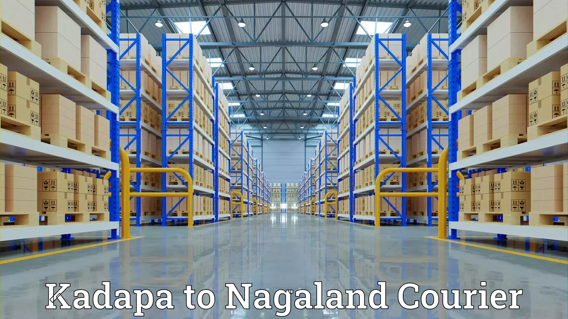 Quality furniture relocation Kadapa to Nagaland