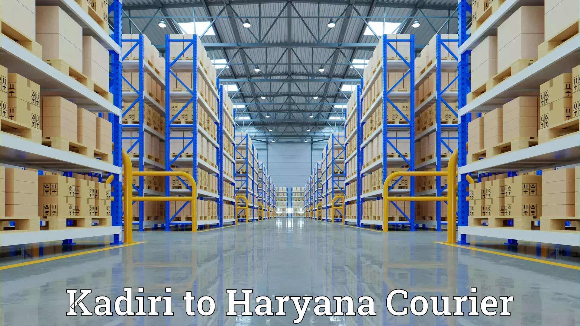 Custom relocation solutions Kadiri to Haryana