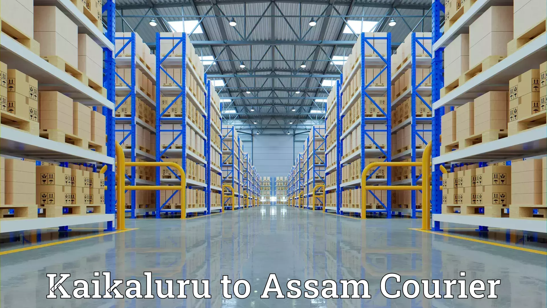 Furniture handling services Kaikaluru to Assam