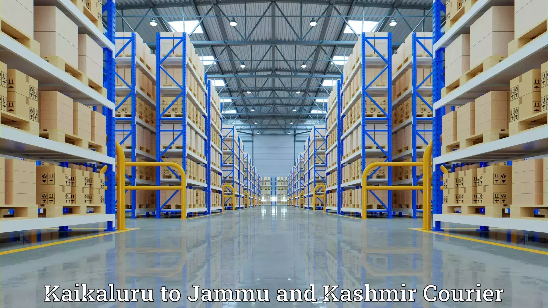 Affordable relocation services Kaikaluru to University of Jammu