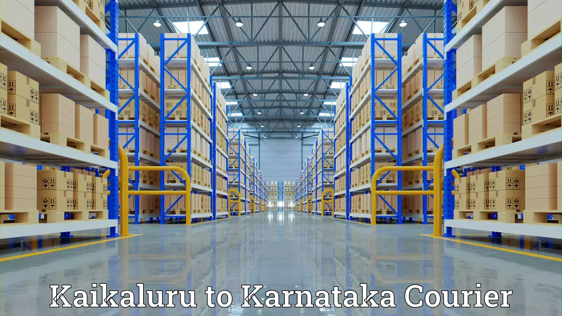 Professional moving company Kaikaluru to Ballari