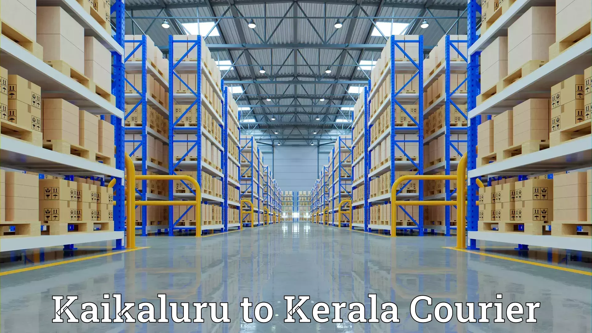 Household goods delivery in Kaikaluru to Pallikkara