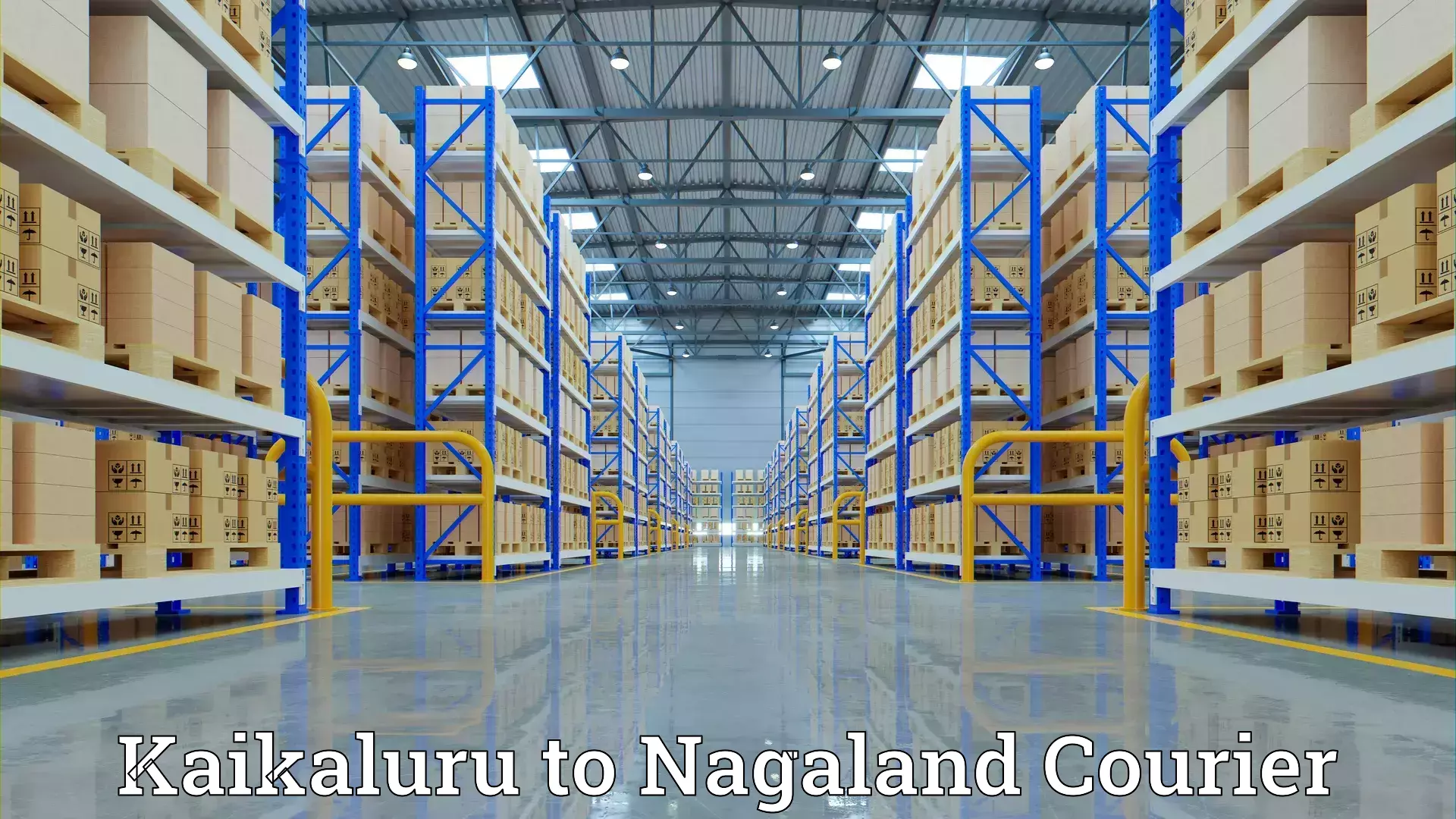 Home furniture relocation Kaikaluru to Nagaland