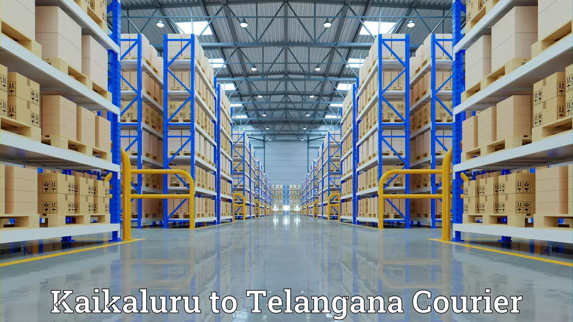 Expert moving and storage Kaikaluru to Telangana