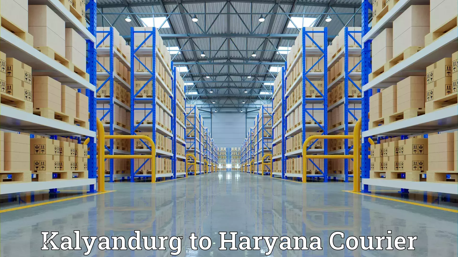 Professional furniture transport in Kalyandurg to Yamuna Nagar