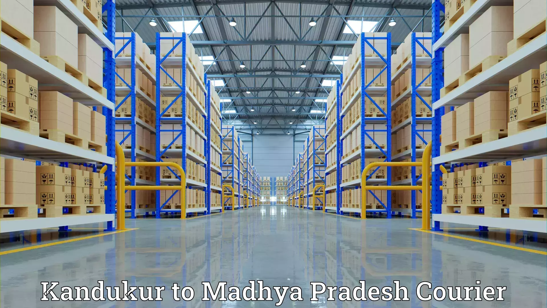 Packing and moving services in Kandukur to Raisen