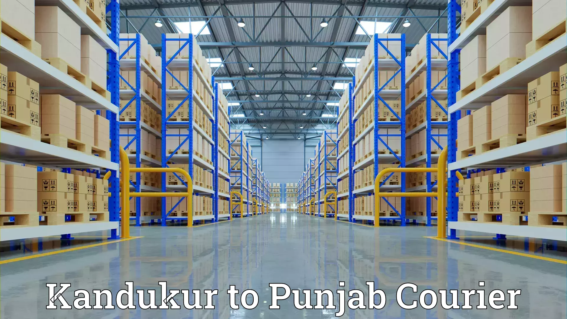 Reliable household moving Kandukur to Punjab