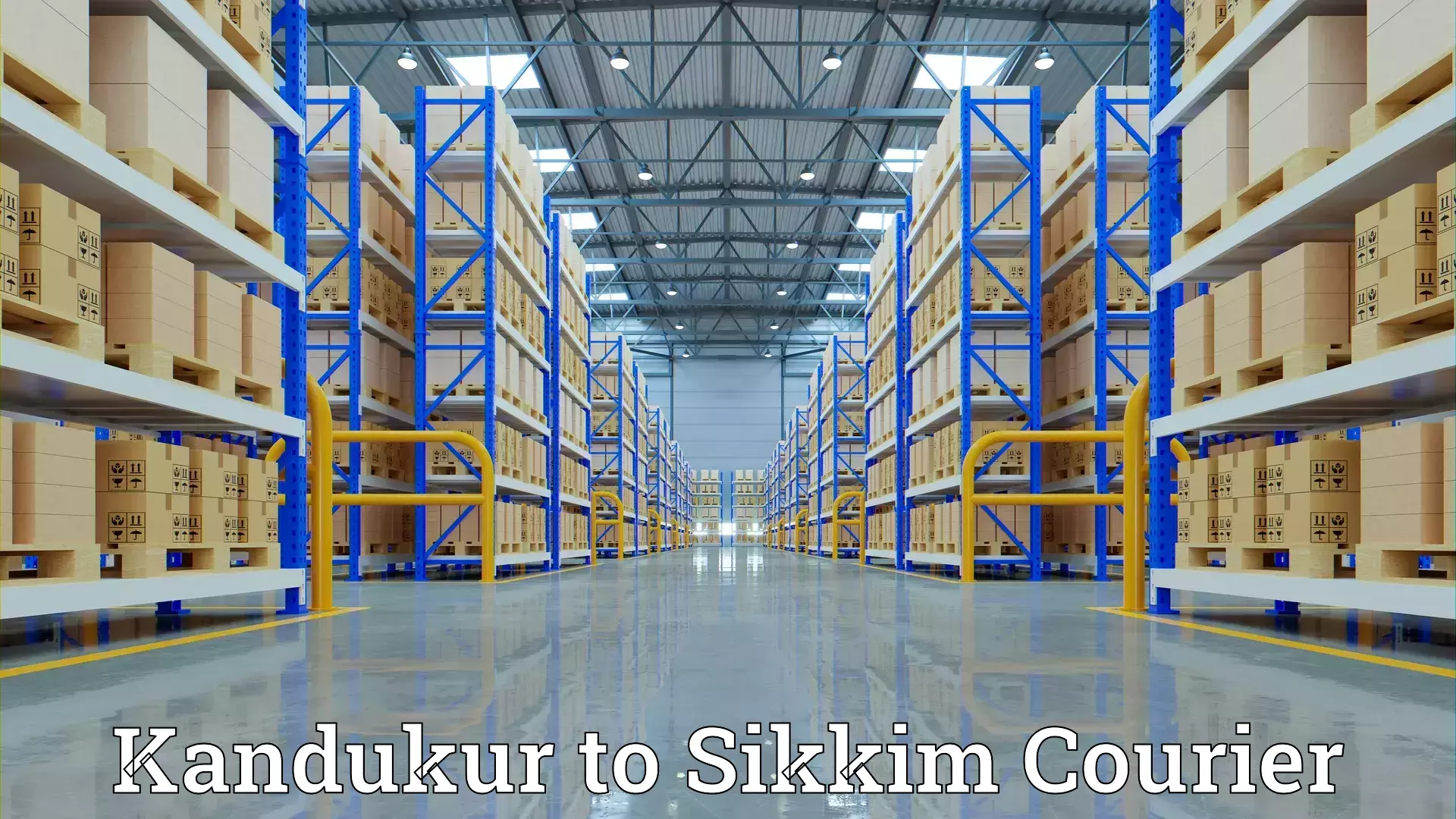 Professional goods transport Kandukur to Sikkim