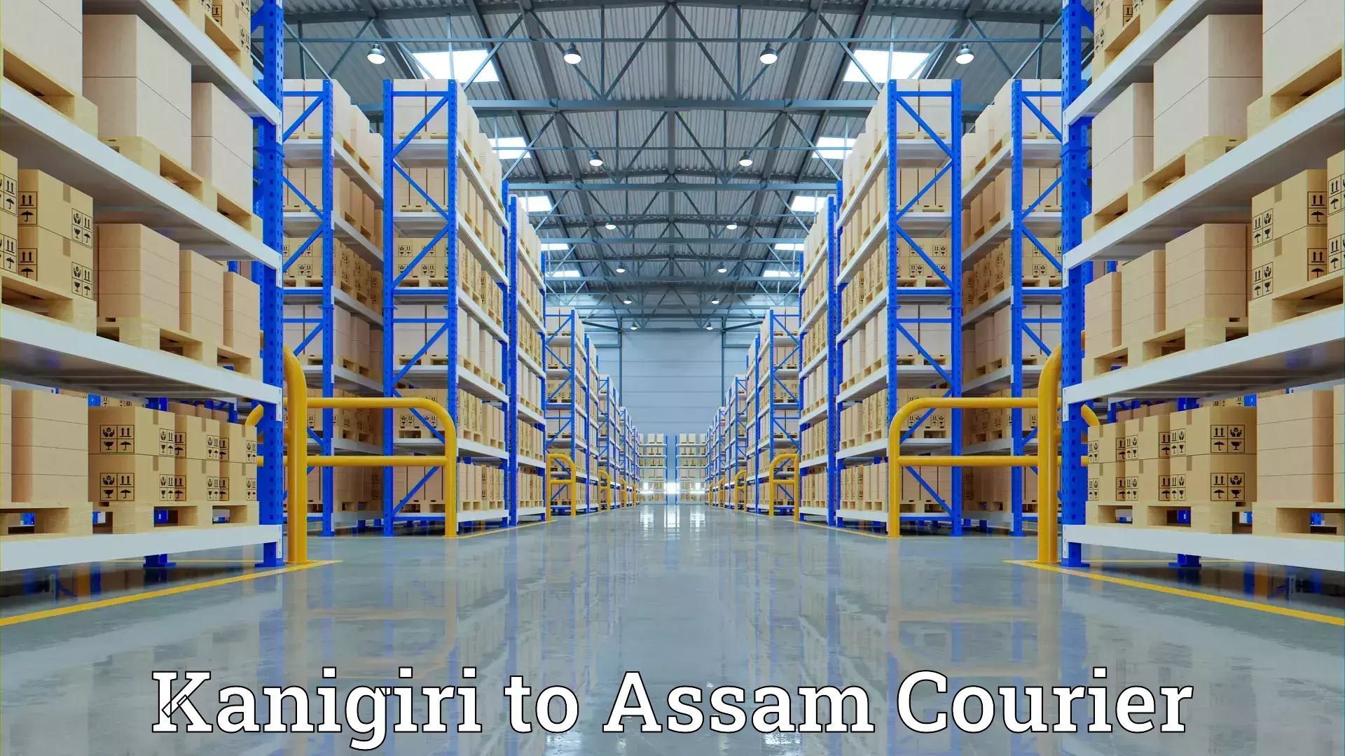 Moving and storage services in Kanigiri to Digboi