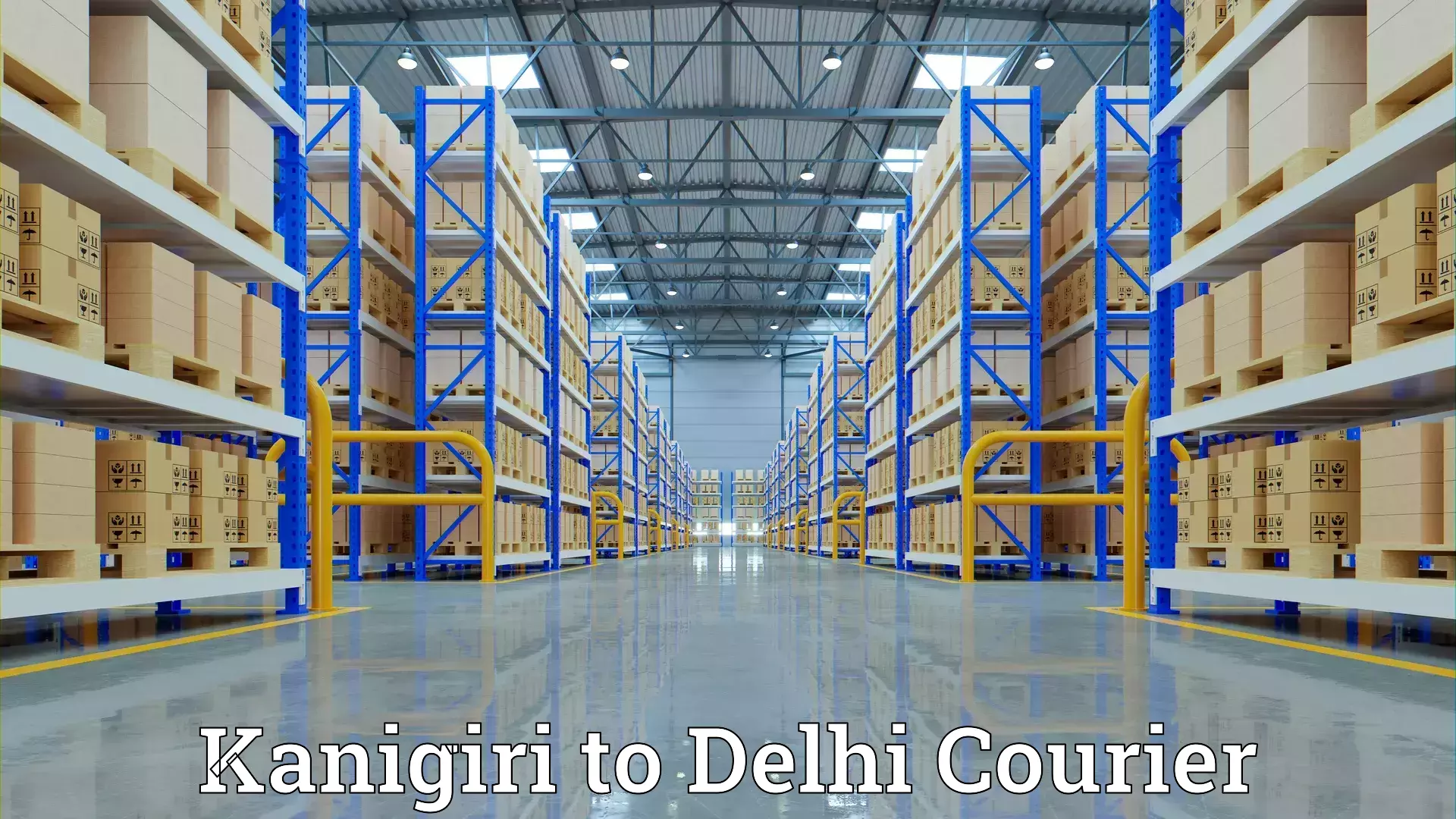 Comprehensive moving services Kanigiri to University of Delhi