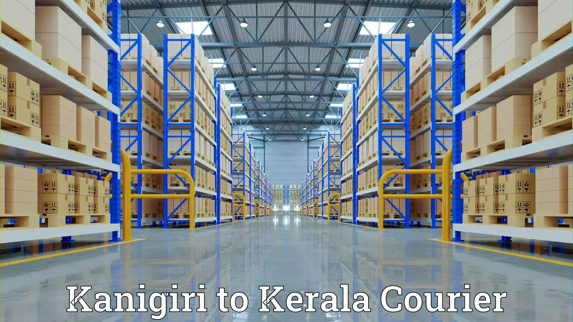 Personalized relocation plans in Kanigiri to Kattappana