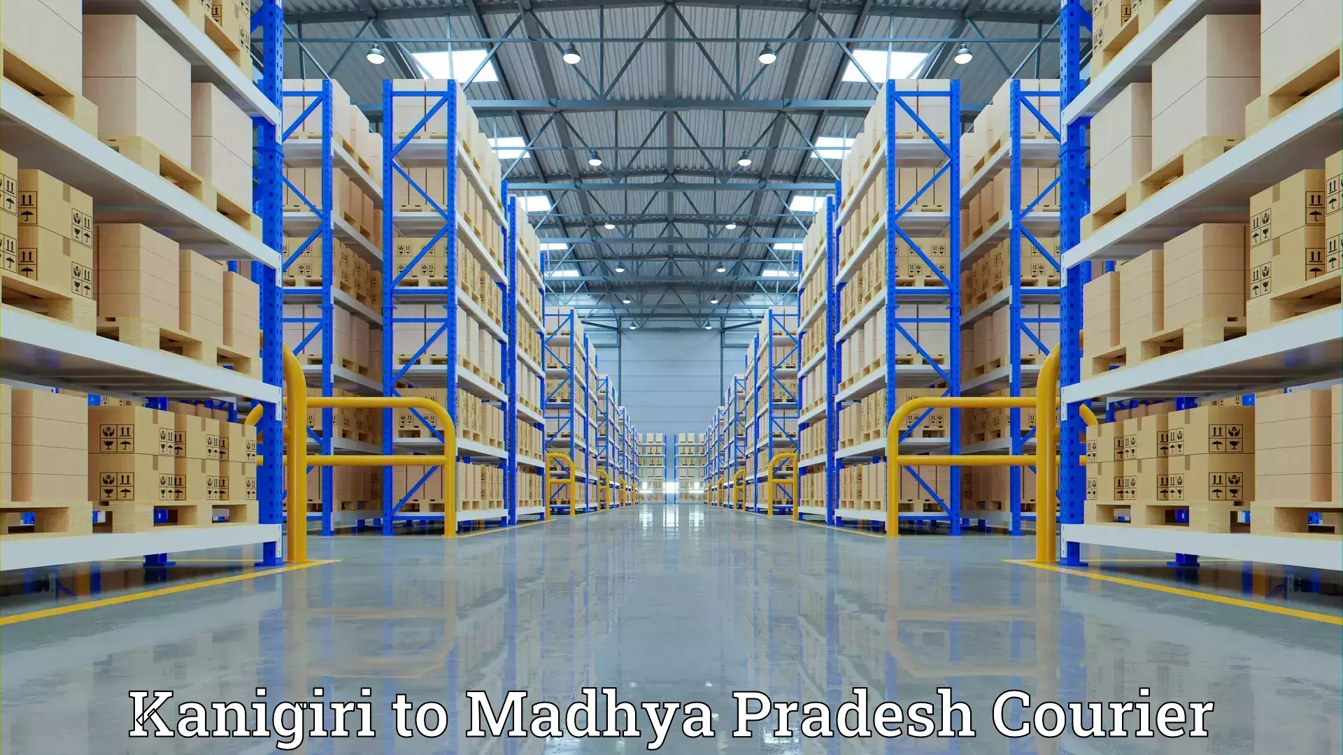 Professional home goods transport Kanigiri to Madhya Pradesh