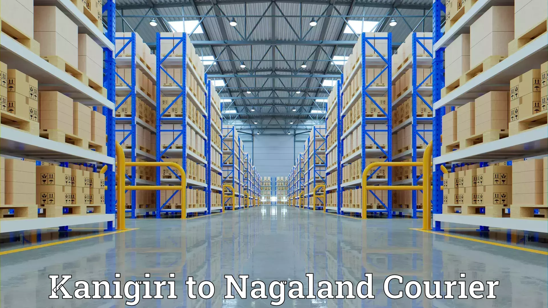 Household logistics services in Kanigiri to Nagaland