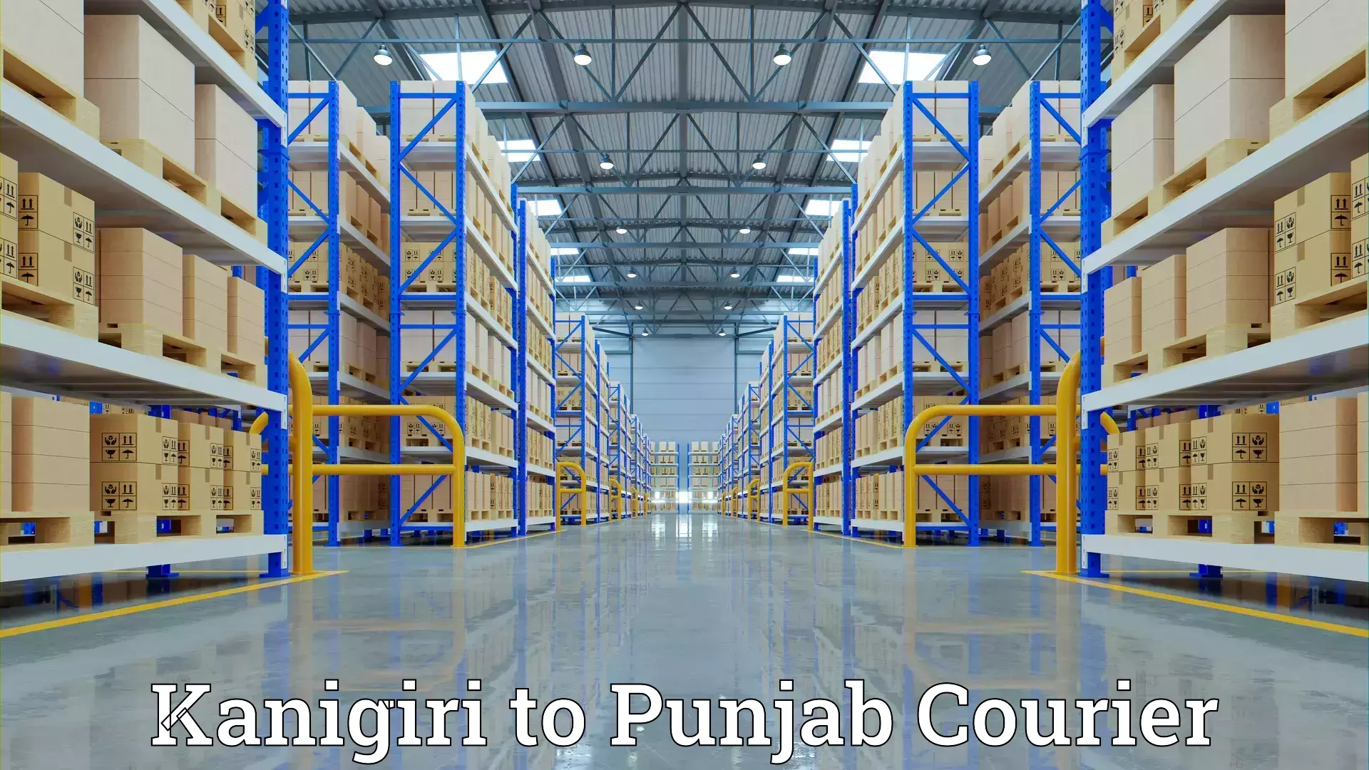 Expert furniture transport Kanigiri to Sangrur