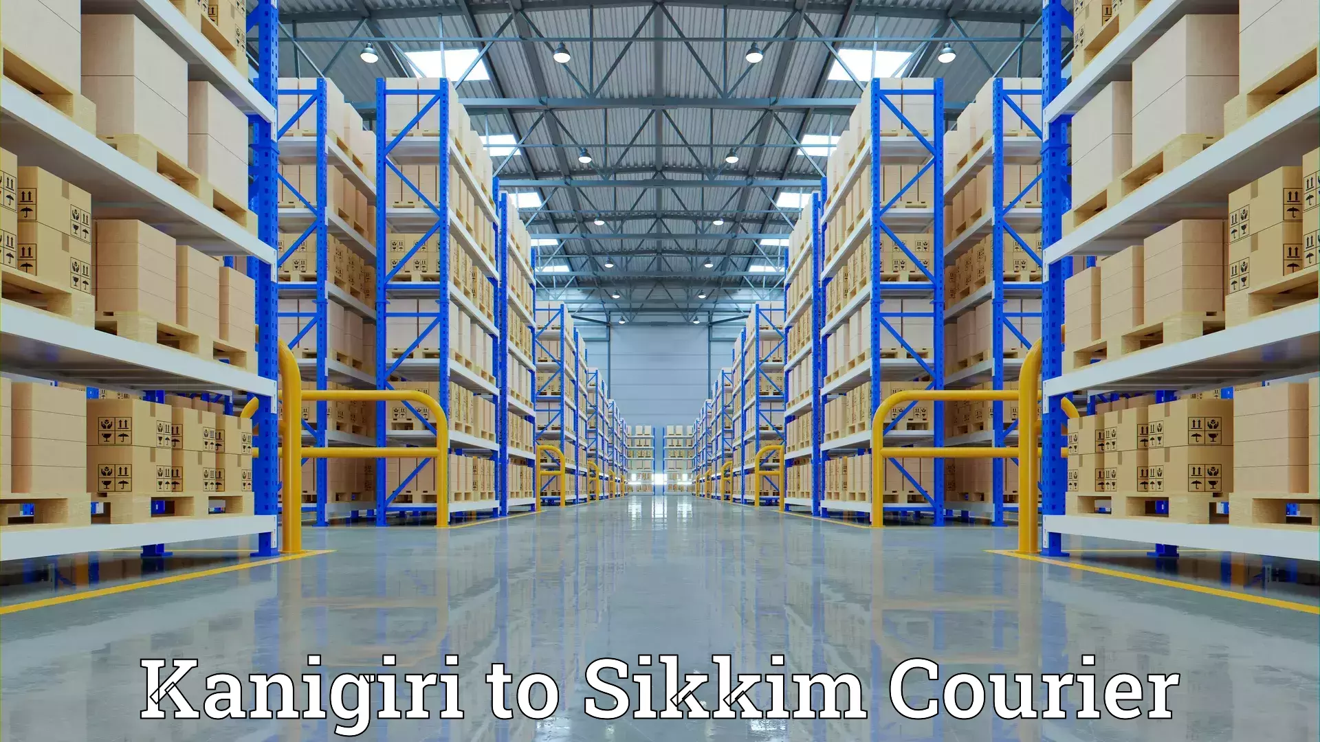 Reliable moving assistance in Kanigiri to Sikkim