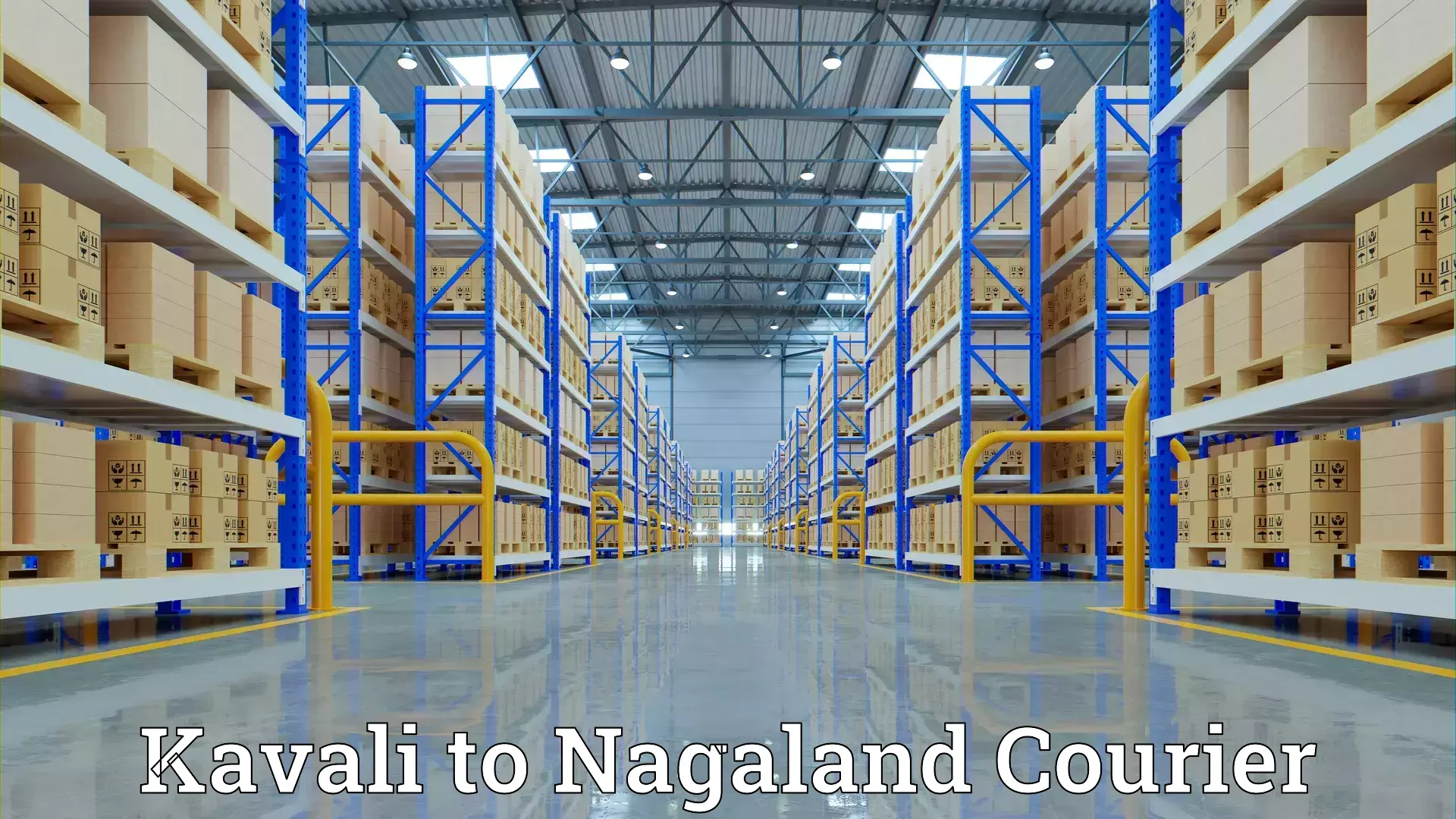 Customized moving experience Kavali to NIT Nagaland