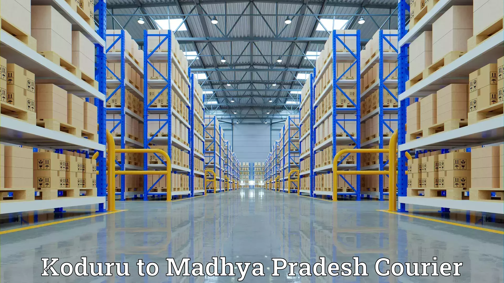 Professional home movers Koduru to Vijayraghavgarh