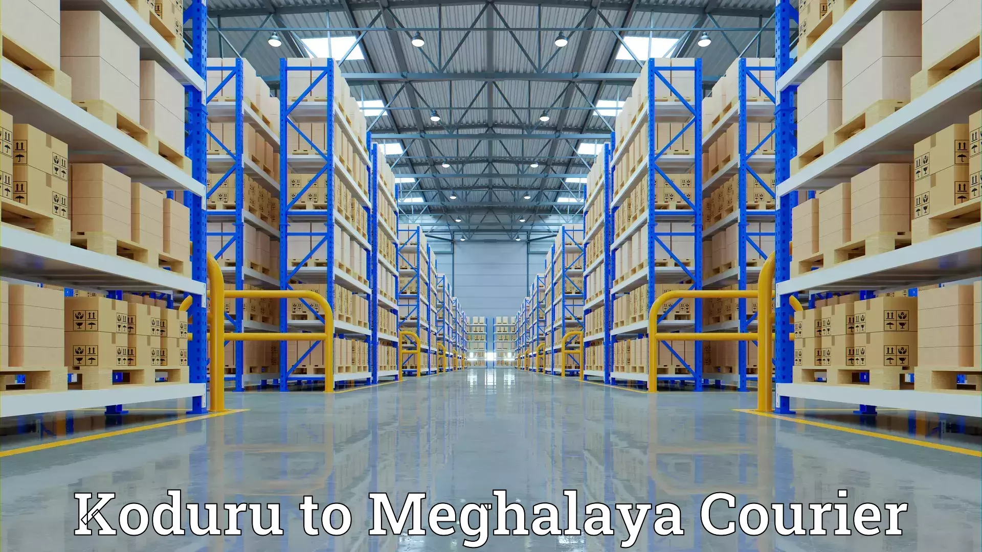 Premium moving services Koduru to Meghalaya