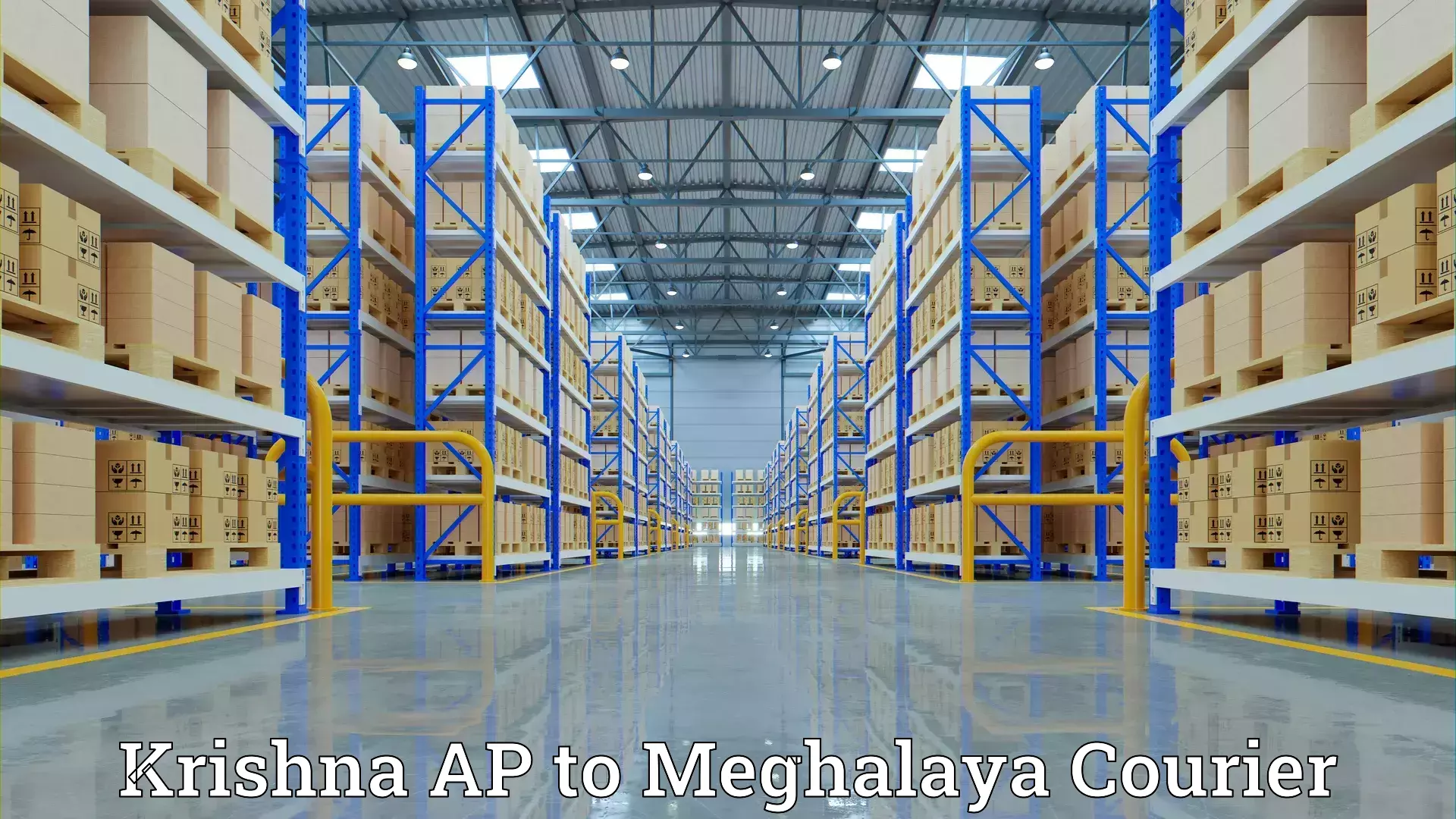 Efficient moving company Krishna AP to NIT Meghalaya