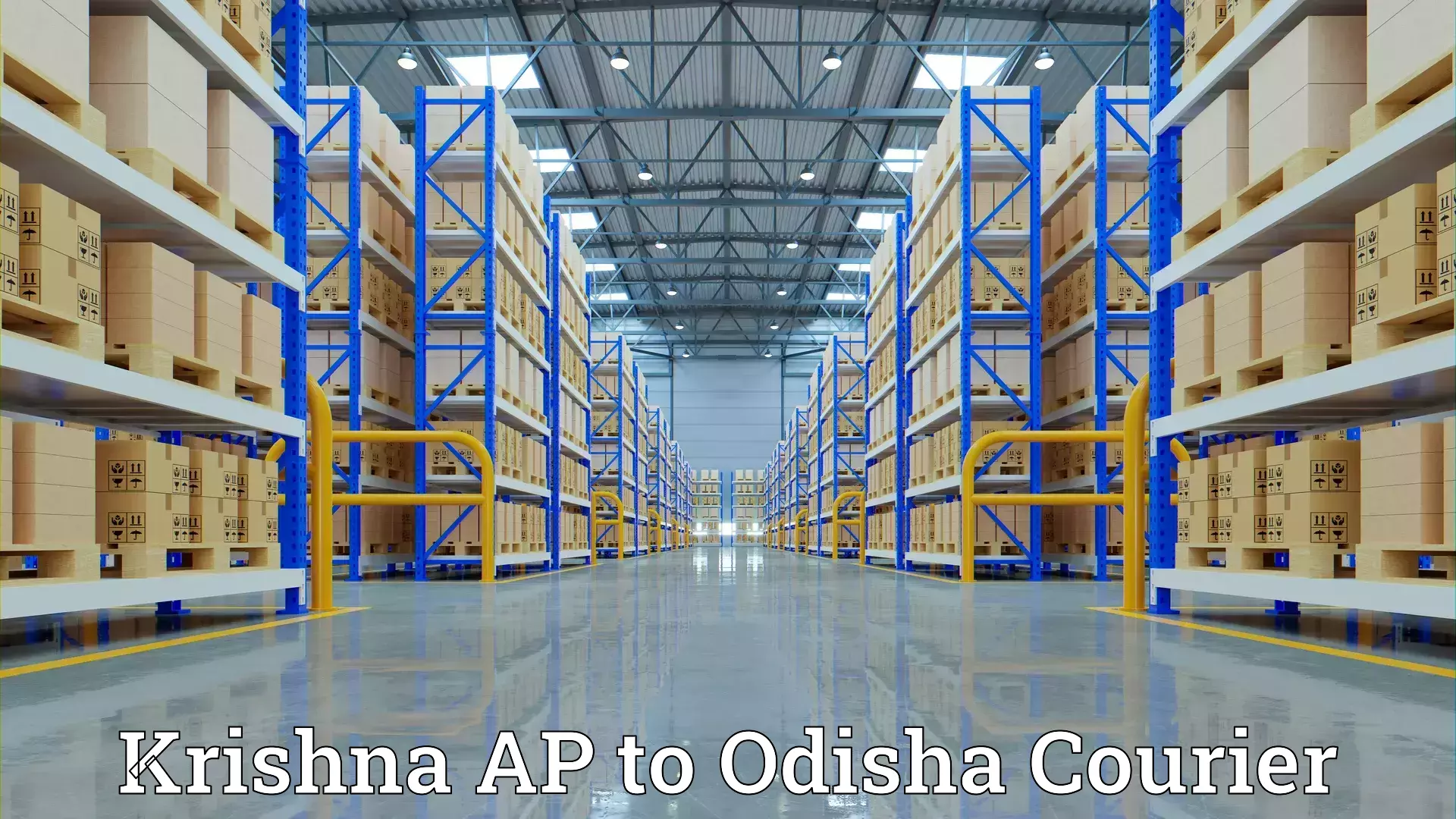 Custom moving and storage Krishna AP to Udayagiri Kandhamal