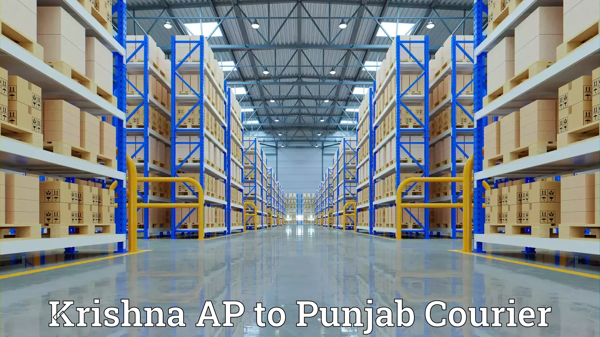 Professional relocation services in Krishna AP to Punjab