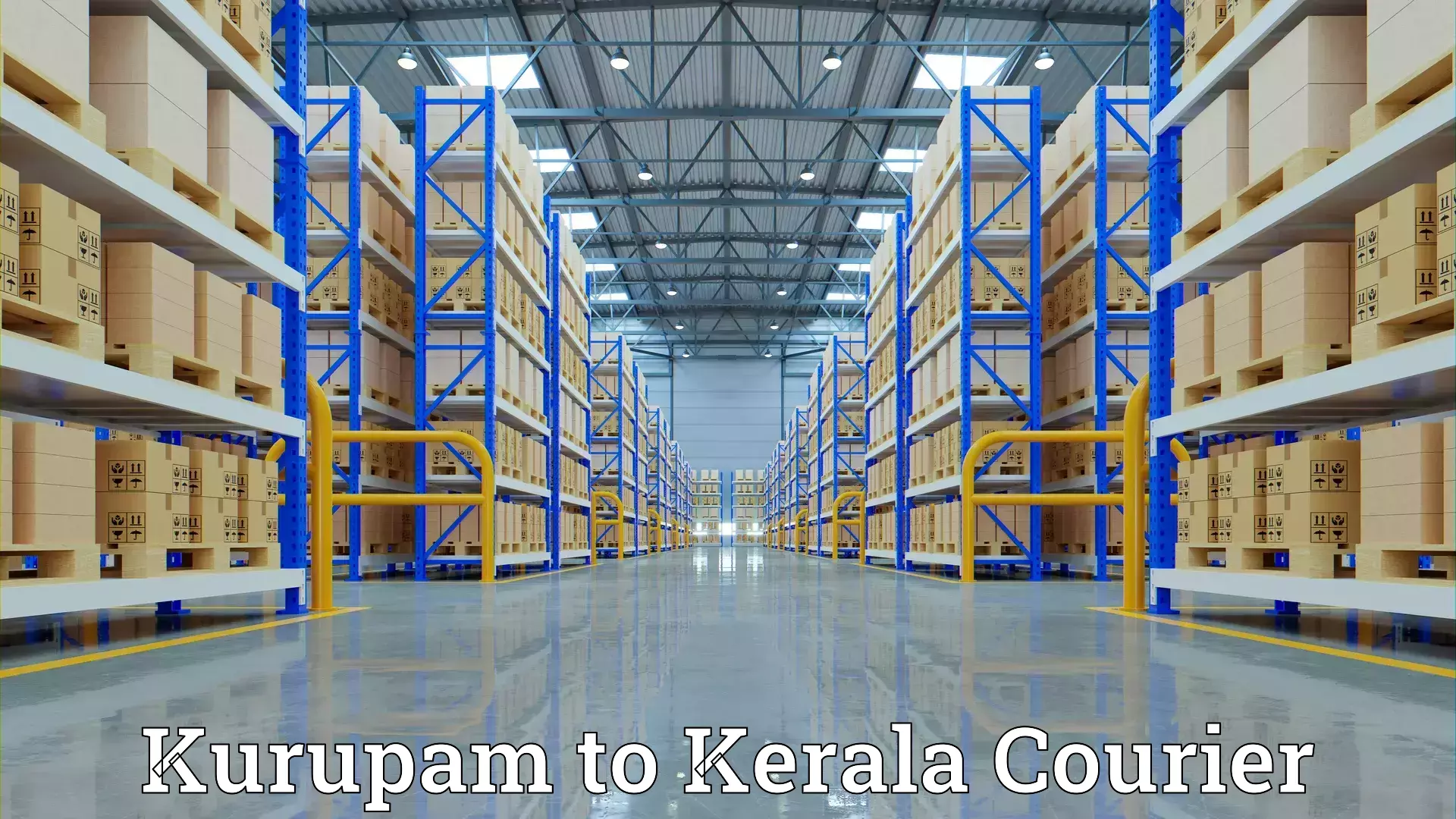 Furniture relocation services in Kurupam to Parippally