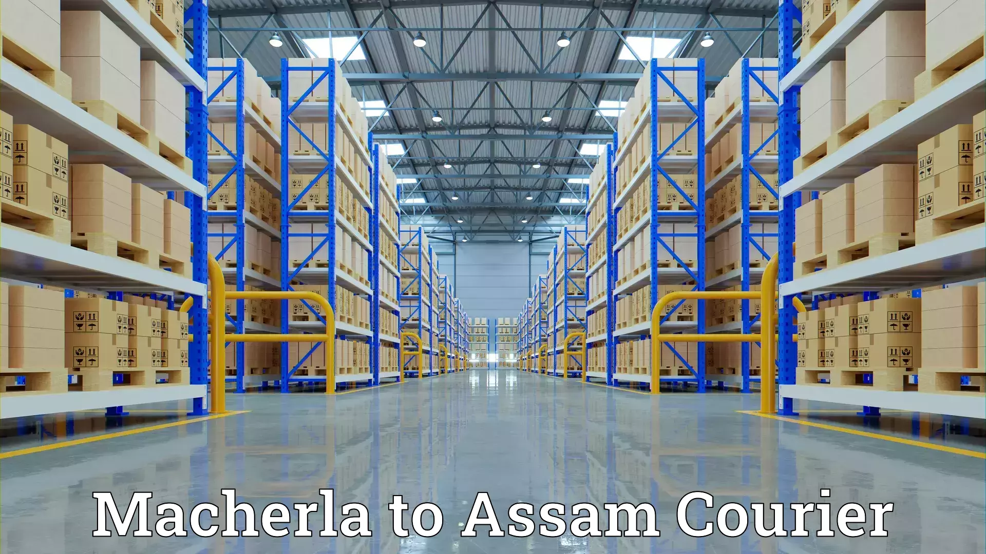 Furniture transport experts in Macherla to Assam