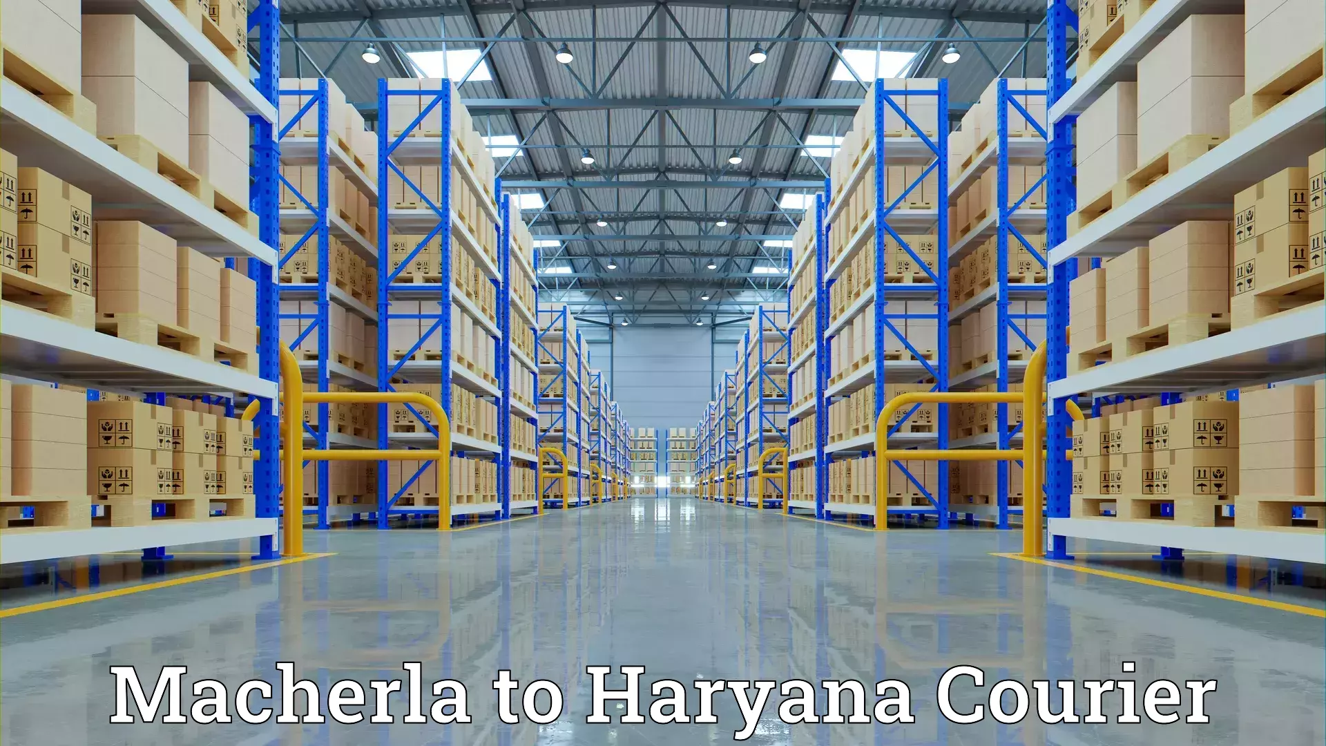 Furniture handling services Macherla to Bhuna