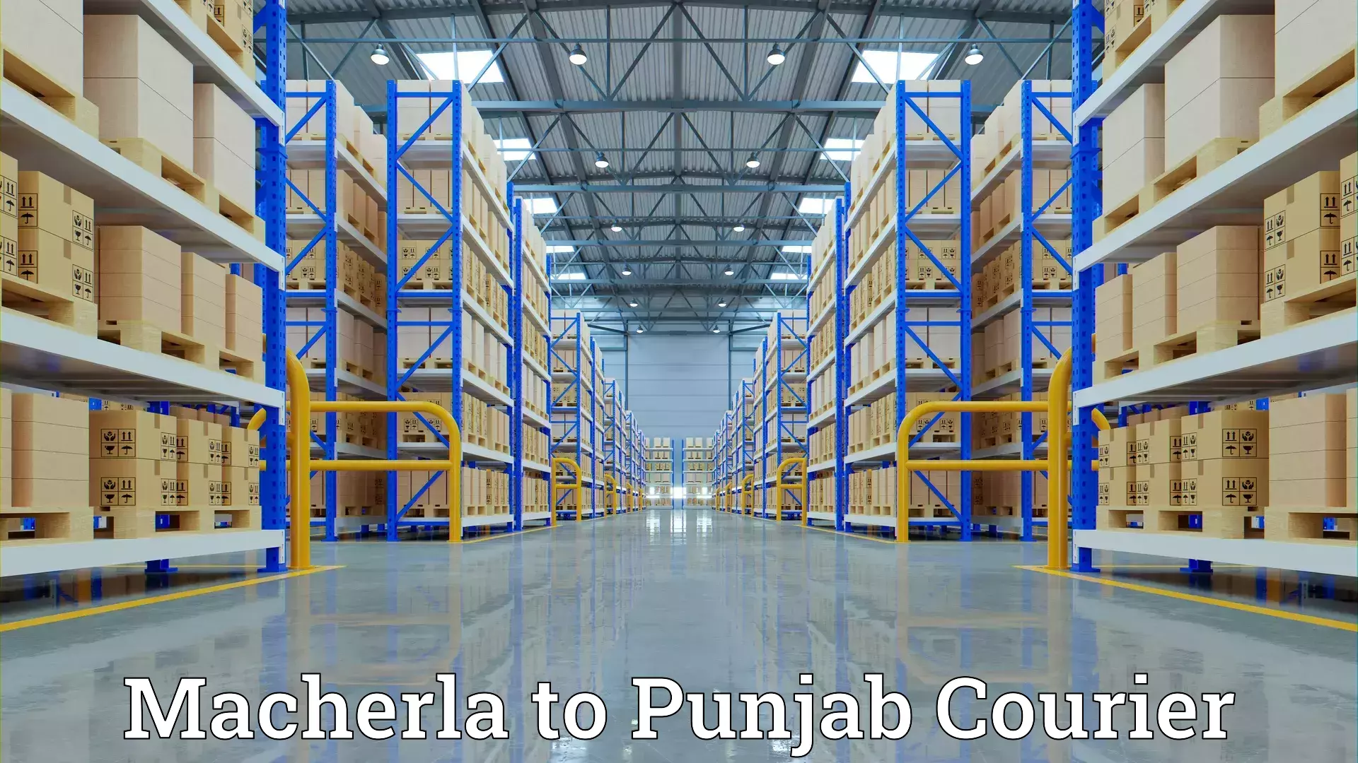 Household moving strategies Macherla to Punjab