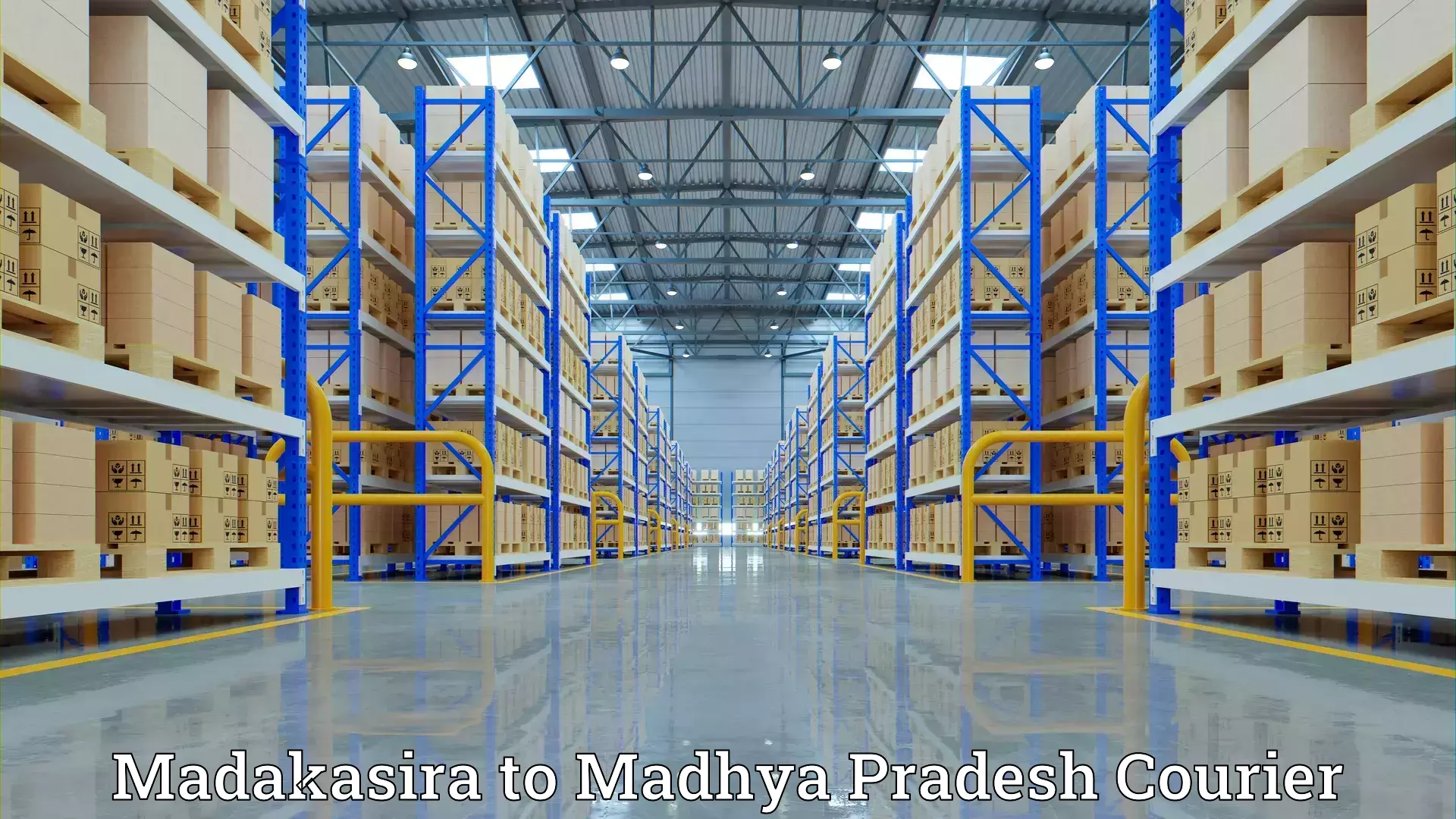 Quality relocation services Madakasira to Madhya Pradesh