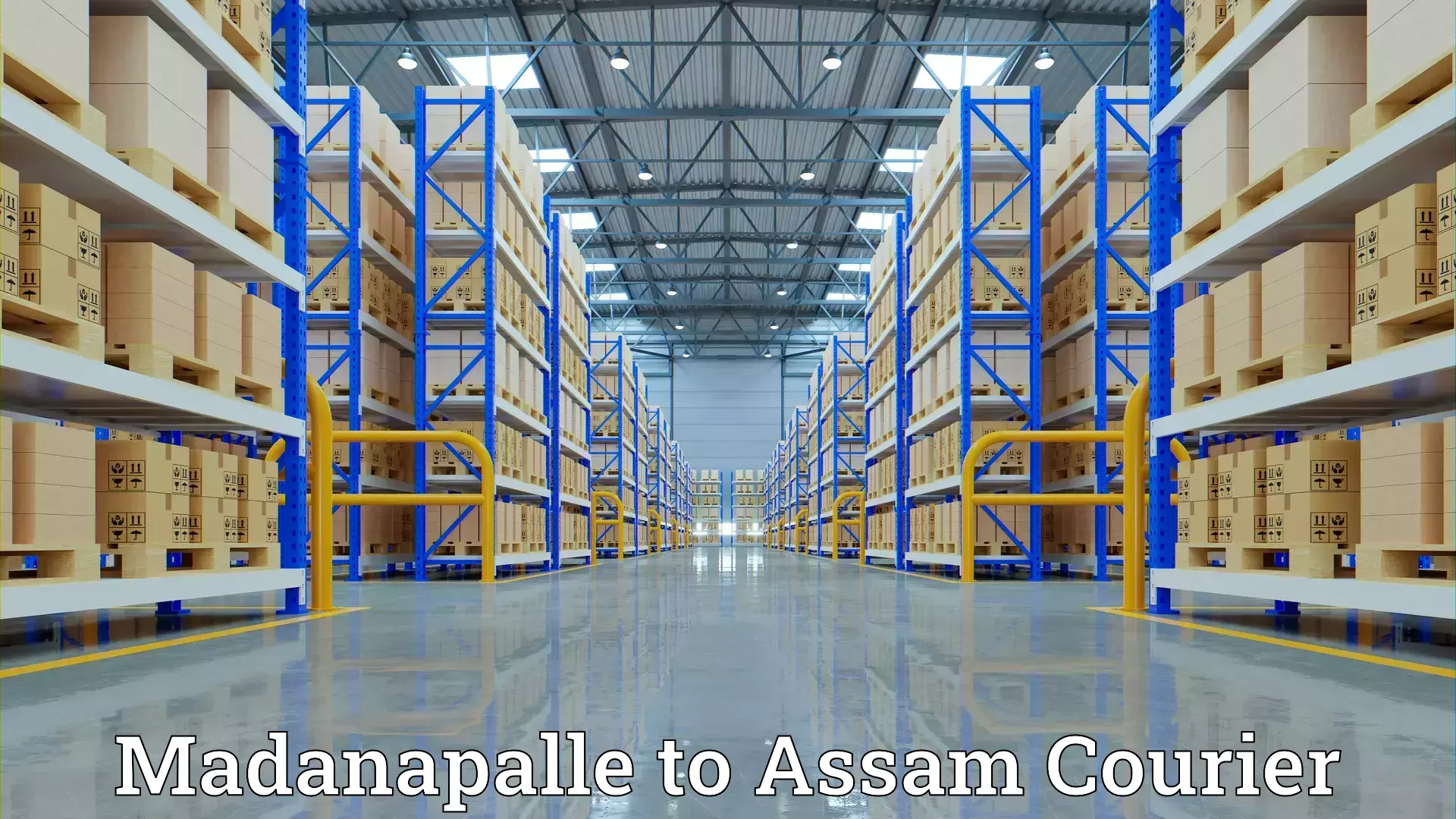 Efficient household moving Madanapalle to Assam