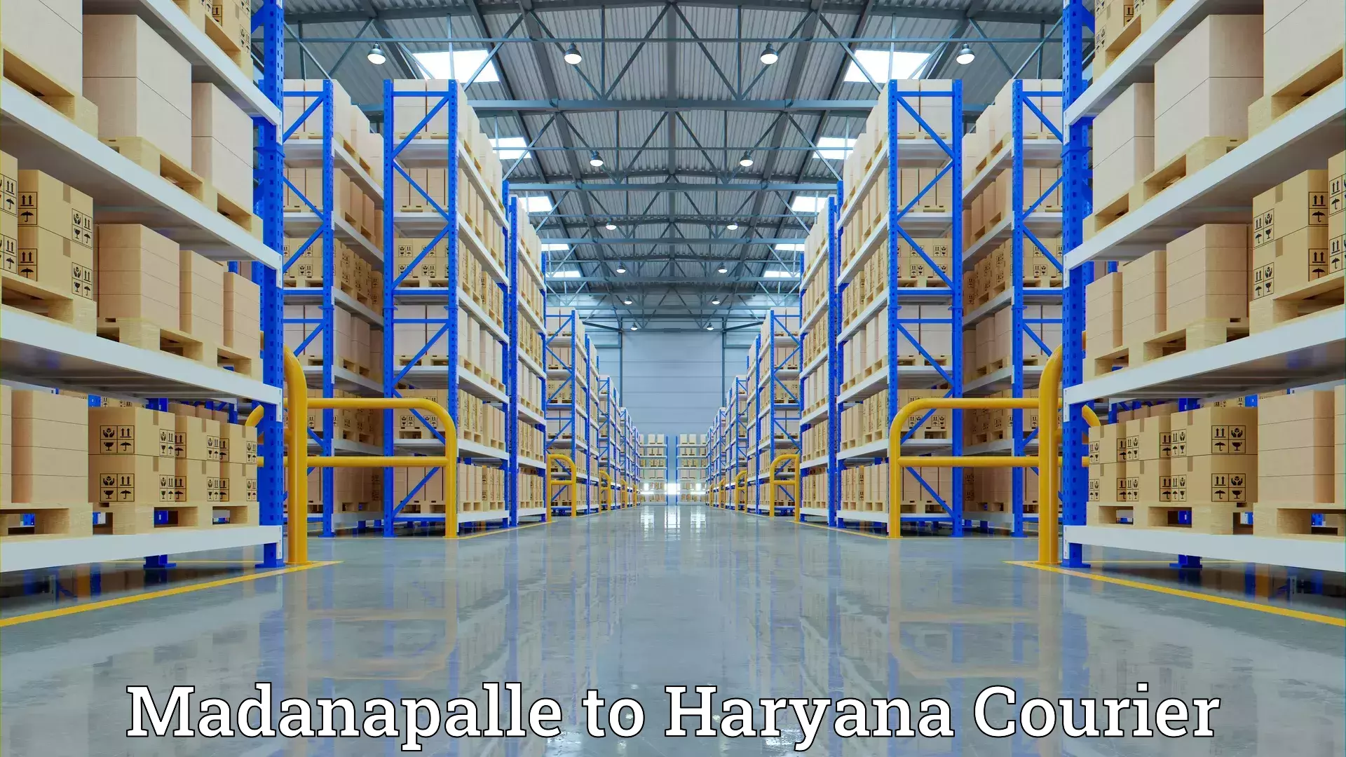 Flexible moving solutions Madanapalle to Hisar