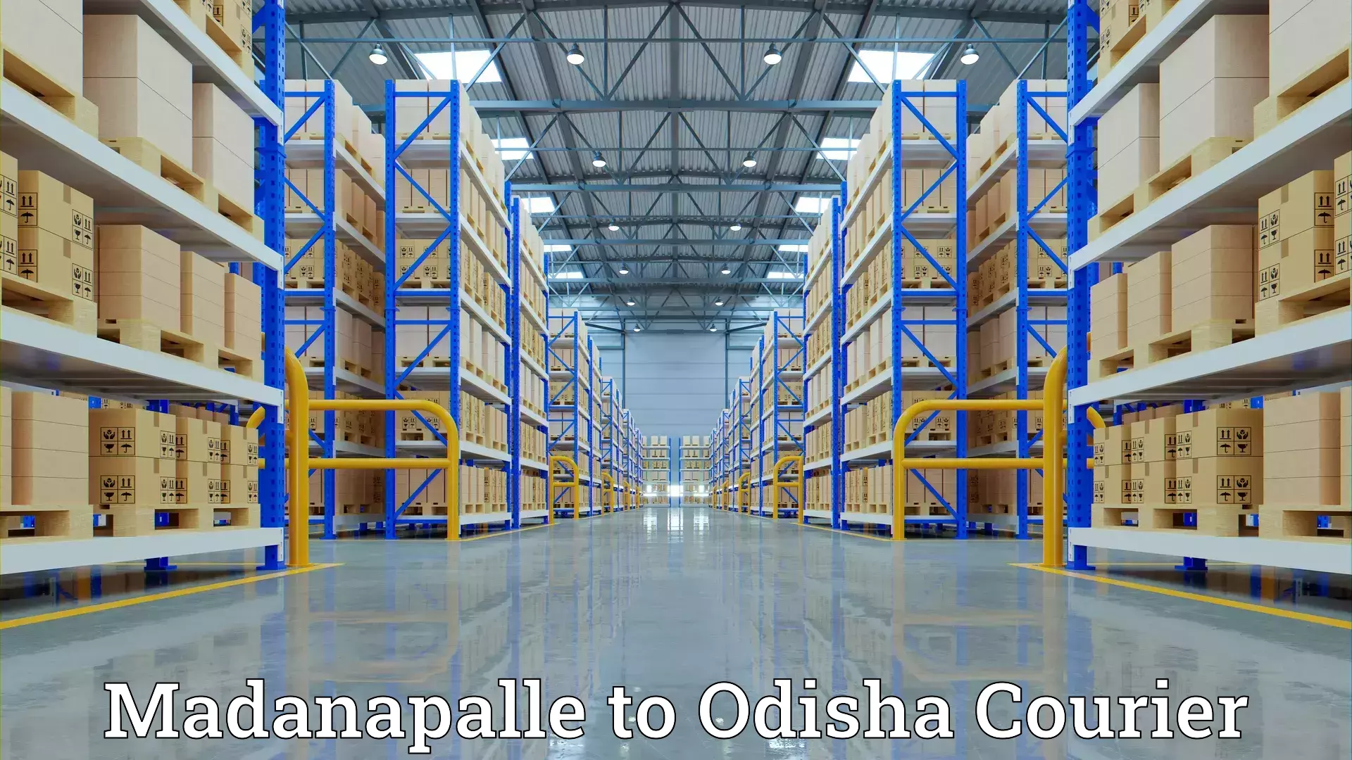 Reliable relocation services Madanapalle to Pipili